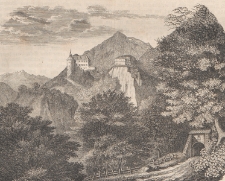 Das Pfennig-Magazin für Belehrung und Unterhaltung, 1851.06.28 nr 443