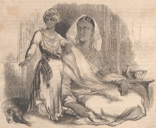 Das Pfennig-Magazin für Belehrung und Unterhaltung, 1851.07.26 nr 447