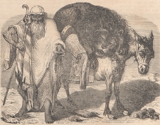 Das Pfennig-Magazin f&uuml;r Belehrung und Unterhaltung, 1851.09.27 nr 456