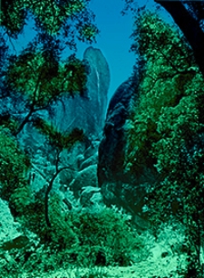 Bulletin 614. Guidebook of the Western United States. Part D: The Shasta Route and Coast Line