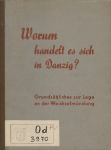 Worum handelt es sich in Danzig? : Grunds&auml;tzliches zur Lage an der Weichselm&uuml;ndung