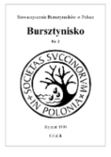 Bursztynisko : The Amber Magazine, 1998 vol. 2