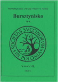 Bursztynisko : The Amber Magazine, 1998 vol. 4