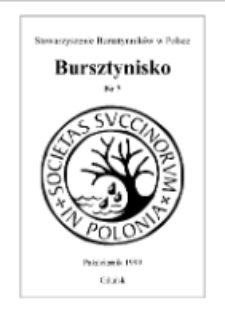 Bursztynisko : The Amber Magazine, 1999 vol. 7