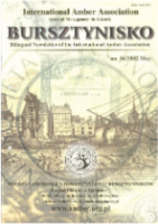 Bursztynisko : The Amber Magazine, 2002 vol. 16