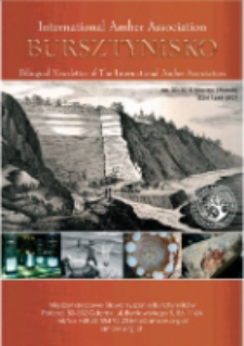 Bursztynisko : The Amber Magazine, 2010 vol. 32