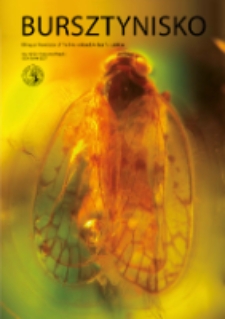 Bursztynisko : The Amber Magazine, 2017 vol. 40