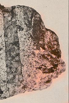 Bulletin 750-F. Molybdenite in the Rocky Bar district, Idaho