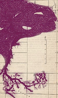Bulletin 797-B. The Skwentna Region, Alaska