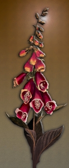 Getreue Darstellung und Beschreibung der in der Arzneykunde gebrauchlichen Gewachse, wie auch solcher, welche mit ihnen verwechselt werden konnen. Bd. 1