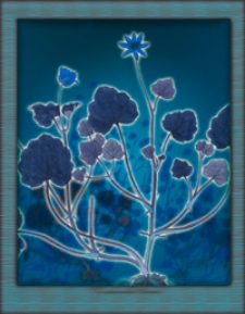 Getreue Darstellung und Beschreibung der in der Arzneykunde gebrauchlichen Gewachse, wie auch solcher, welche mit ihnen verwechselt werden konnen. Bd. 5